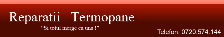Reparatii Termopane
